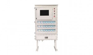 Customized Electronic Component Explosion-proof Electrical Control Box