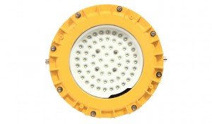 China Wholesale Anti Explosive Lights Suppliers - Easy Installation Surface Mounted Explosion-proof Led Ceiling Light for Factory – Taiyi