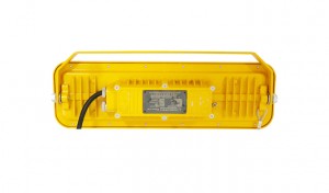 뜨거운 판매 중국 IP66 방염 Atex Iecex 구역 1 및 구역 21 LED 하이 베이 및 투광 조명 80W 100W 120W 150W 185W 200W 위험한(분류된) 장소에서 사용하기 위한 조명기구