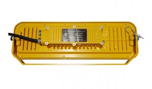 OEM メーカー中国 Rfbl106-II LED 防爆プラットフォーム ランプ 20 W ～ 100 W