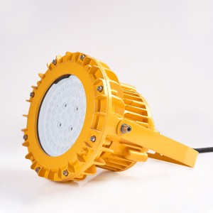Easy Installation Surface Mounted Explosion-proof Led Ceiling Light for Factory