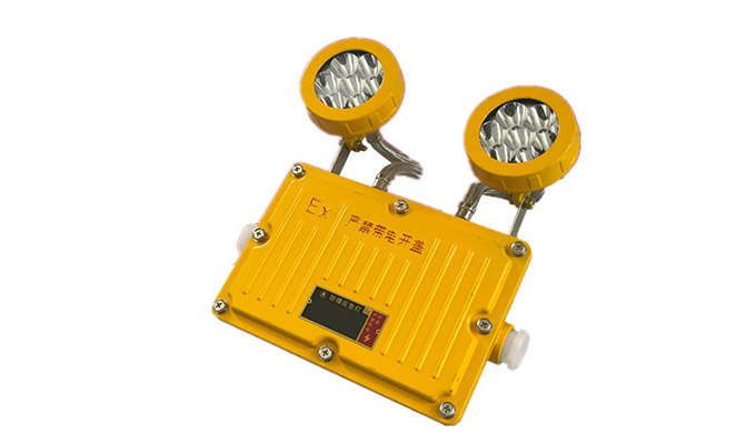 China Wholesale Blast Proof Light Factories - Rechargeable Led Double Head Explosion-proof Emergency Exit Sign Light – Taiyi