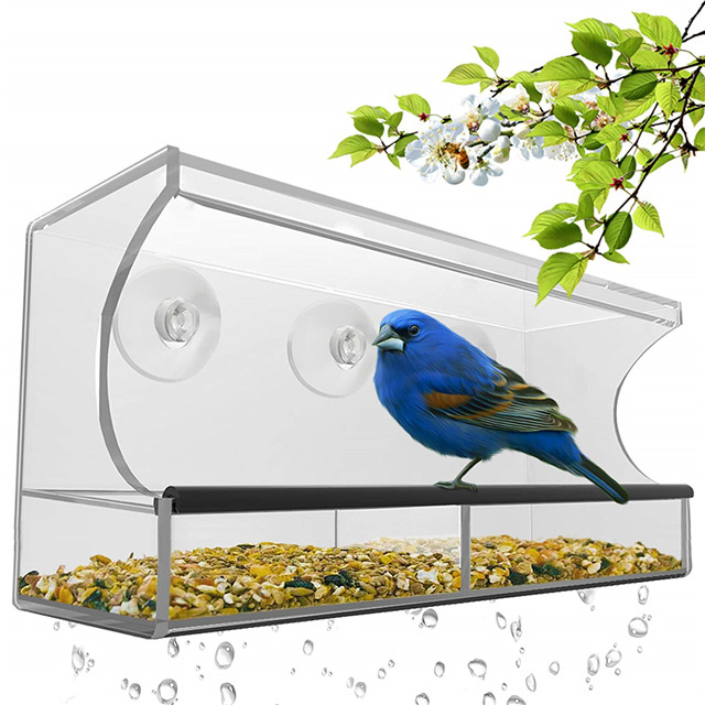 perspex plastic bird feeder with removable sliding tray drain holes Featured Image