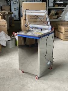 Food vacuum packing machine ,Model : ZS-500