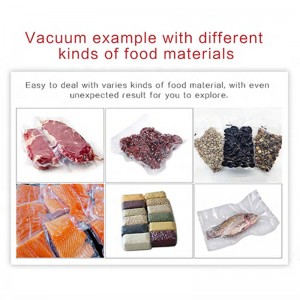 Vertical Vacuum Air Sealing Machine Food Tea Feed Vacuum Packaging Machine Model: DZQ600L