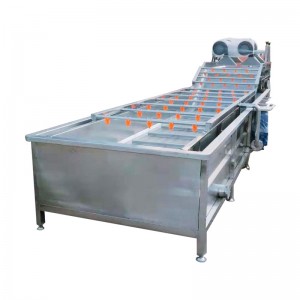 फल धोने की मशीन मॉडल: WKS03