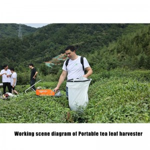 Portable tea leaf harvester -Battery powered type with 20AH lithium battery
