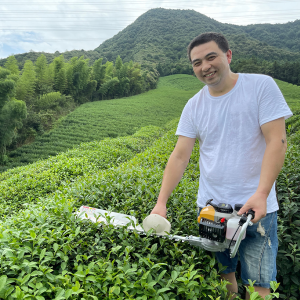 Hedge trimmer / tea garden tea trimmer / single man tea pruner TJ75H