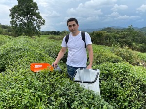 Portable tea leaf harvester -Uri na pinapagana ng baterya Modelo :NX300S