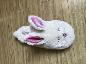 Kids’ Girls’ Boys’  Rabbit Slippers