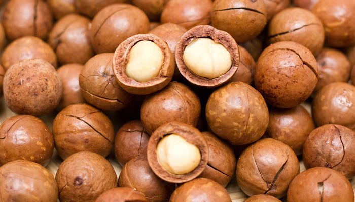 Solusi Asihan calakan pikeun Industri Macadamia