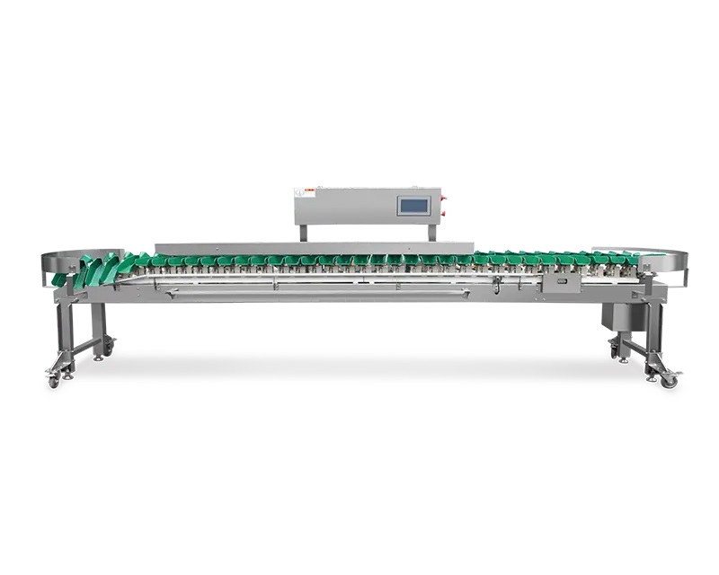 Multi-tray Weight Sorting Machine Featured Image