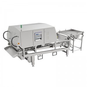 UHD Intelligent Multi Beam Belt Optical Sorter