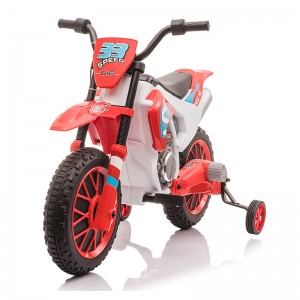 2021 High quality Battery Car - Electric Tricycle Motorbike – Tera