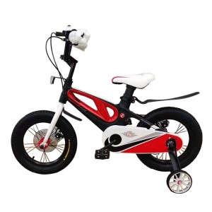 Bicicleta infantil para nenos e nenas BYLX