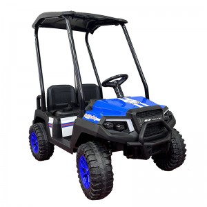 Children Outdoor Ride on UTV with canopy XM650A