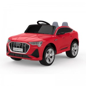 Audi RS e-tron sportback-lisensie Kinderspeelgoed ry op BB1188