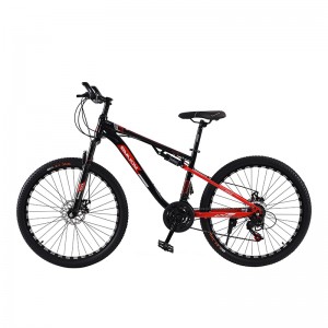 26 Inch  Bicycle  BJ26I2