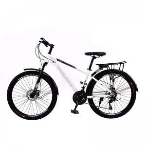 26 Inch Bicycle for Adult and Youth BJ26I3