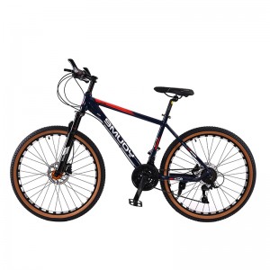 26 Inch Bike for Adult and Youth BJ26L1