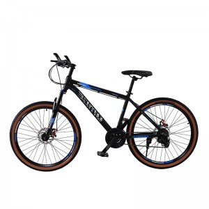 26 Inch Bicycle for Adult and Youth BJ26L2