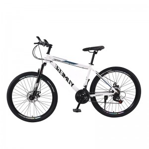 26 Inch Bicycle for Adult and Youth BJ26L3