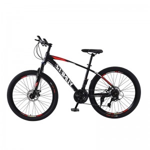 Bicycle for Adult and Youth 26 Inch BJ26L4