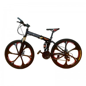 Steel Bike for Youth/ Adult BJMLH