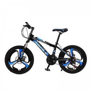 Bike with Carbon Steel Frame BJMZS
