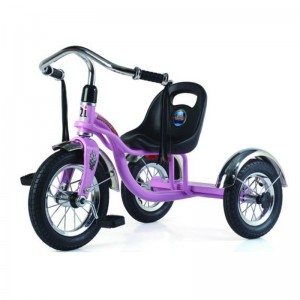 Prince Car Children tricycle miaraka amin'ny kodiaran'ny rivotra JY-B36