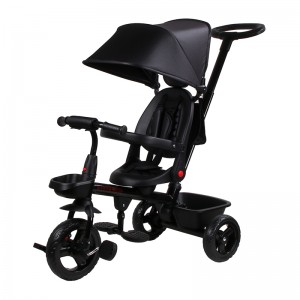 Push Tricycle for Kids JY-T07B