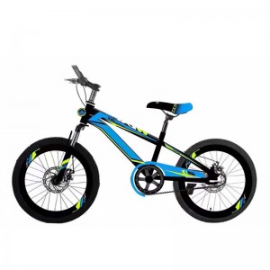 საბავშვო ველოსიპედი ბიჭებისთვის და გოგოებისთვის BXZS