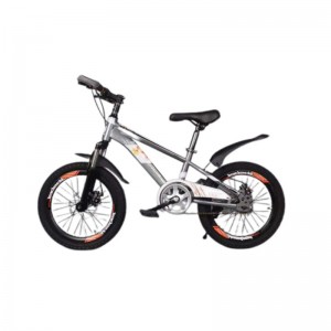 2021 High quality Mtb Bicycle - Kids Bike For Boys and Girls BYGF – Tera