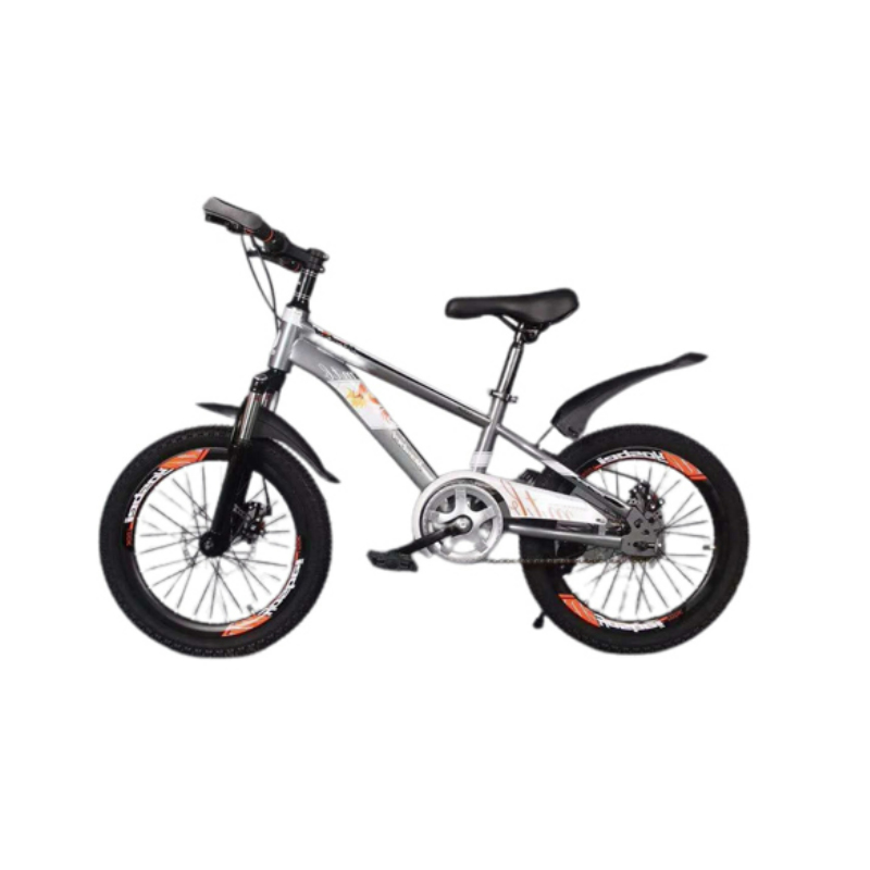 Professional China Freestyle Bicycle - Kids Bike For Boys and Girls BYGF – Tera