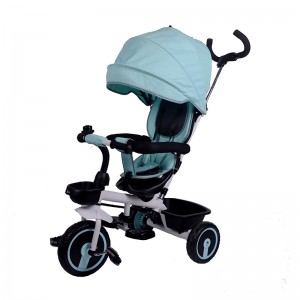 Parent Push Tricycle for Kids T302B