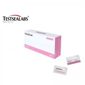 Testsealabs hCG Pregnancy Test Strip ແມ່ຍິງການກວດພົບເບື້ອງຕົ້ນສໍາລັບການຖືພາ
