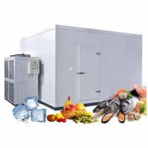 Modular Mini Cold Room Positive & Negative Temperature