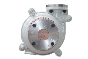 Low MOQ for Small Sludge Pump - 4×3D-WX Heavy Duty Slurry Pump – Tiiec