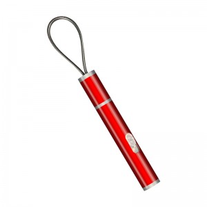 Домашни любимци USB инфрачервен електронен лазерен лазер закачка котешка пръчка интерактивна котешка играчка производител директна продажба на продукти за домашни любимци L1 търговия на едро