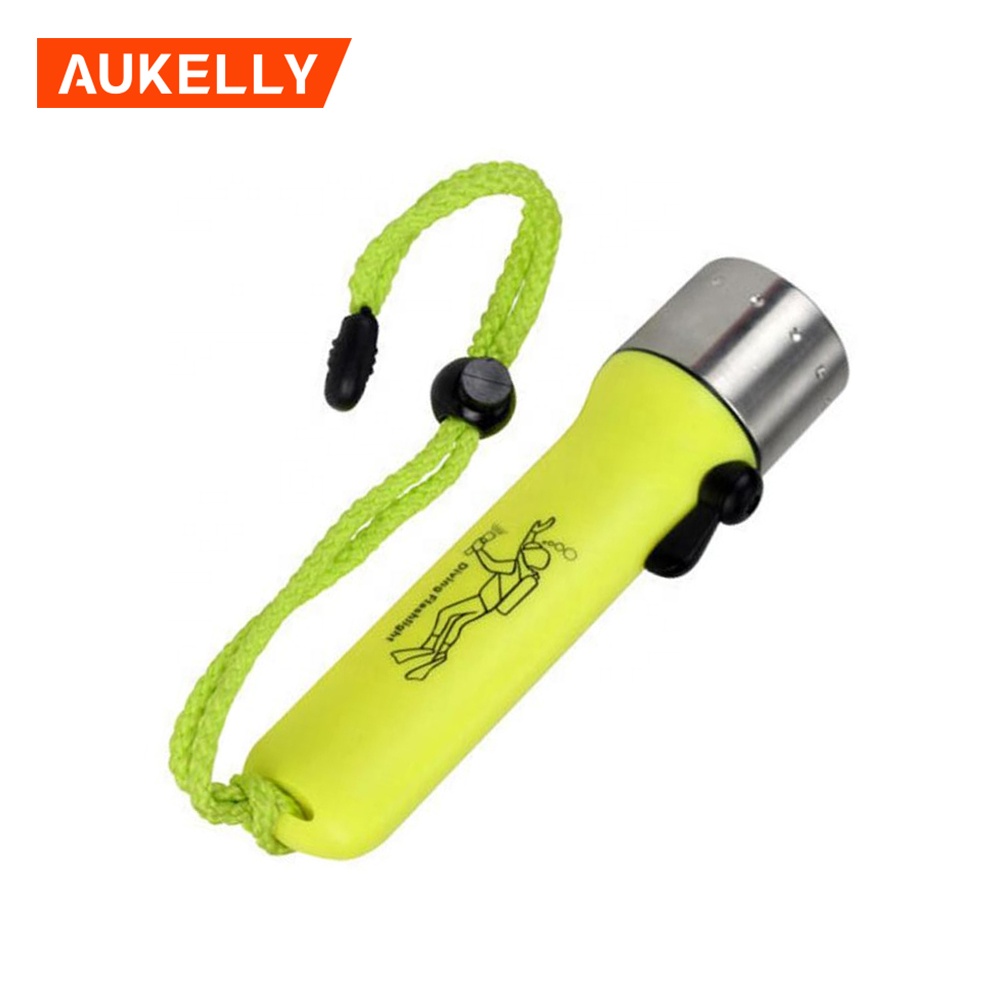 Professional Waterproof ABS LED Diving Flashlight 4*AA 800lm Q5 Diving Torch lantern Underwater Lights LED Submarine Light D9