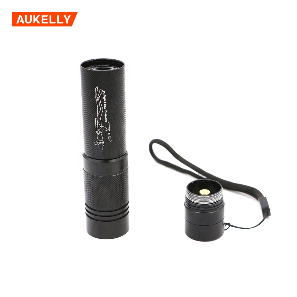 High power IP68 T6 10W Rechargeable Led Diving Flashlight Diving Lamp D8