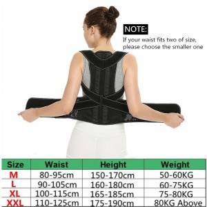 Adjustable Posture Corrector Back Support Shoulder Lumbar Brace WS-15