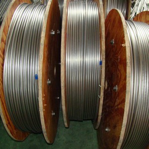 OEM Customized 304/304L/316/316L/321 Stainless Steel Coiled (coil) Pipe/Tubes/Tubings for Oil and Gas Wells