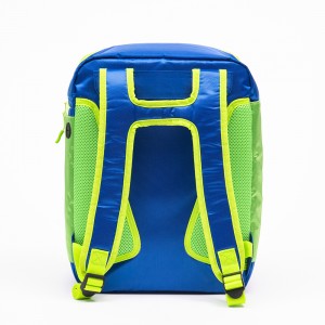 Insulated Cooler Backpack with Leak-proof Large Capacity 20L for Men Women to Picnics, Camping, Hiking