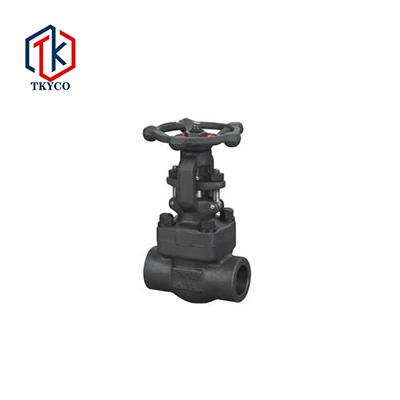 Forged Steel Gate Valve Featured Image