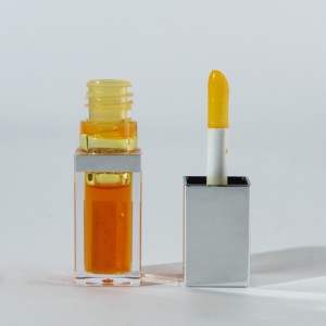 Plumping Lip Oil Hydrating Lip Gloss Tinted Lip Balm Lip Care ក្រុមហ៊ុនផលិត