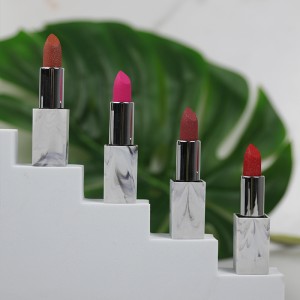 OEM/ODM Lipstick Velvet Matte Lipstick High Pigment Moisturizing Lipstick Set