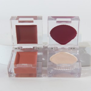 Kvadrata Mini Lipstick kaj Ruĝkremo Lipvizaĝa Ŝminko Matte Riĉa Koloro Hidrata Lipruĝo Fabrikistoj