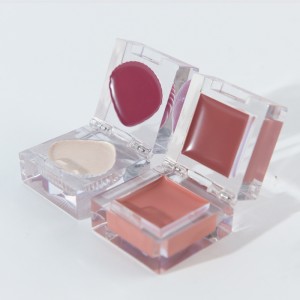 Mini pintallavis quadrats i crema de rubor Maquillatge de llavis per a la cara Fabricants de pintallavis hidratants de color ric mat