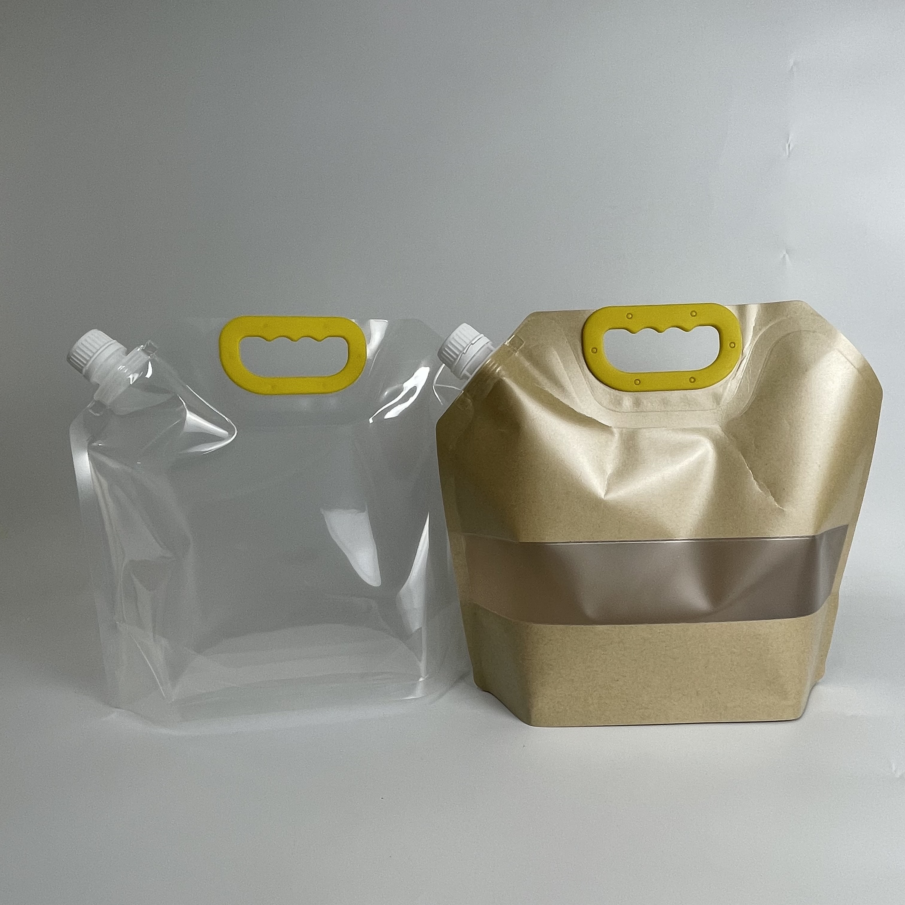 Custom 5KG Capacity Plastic Spout Pouch with Handle Featured Image